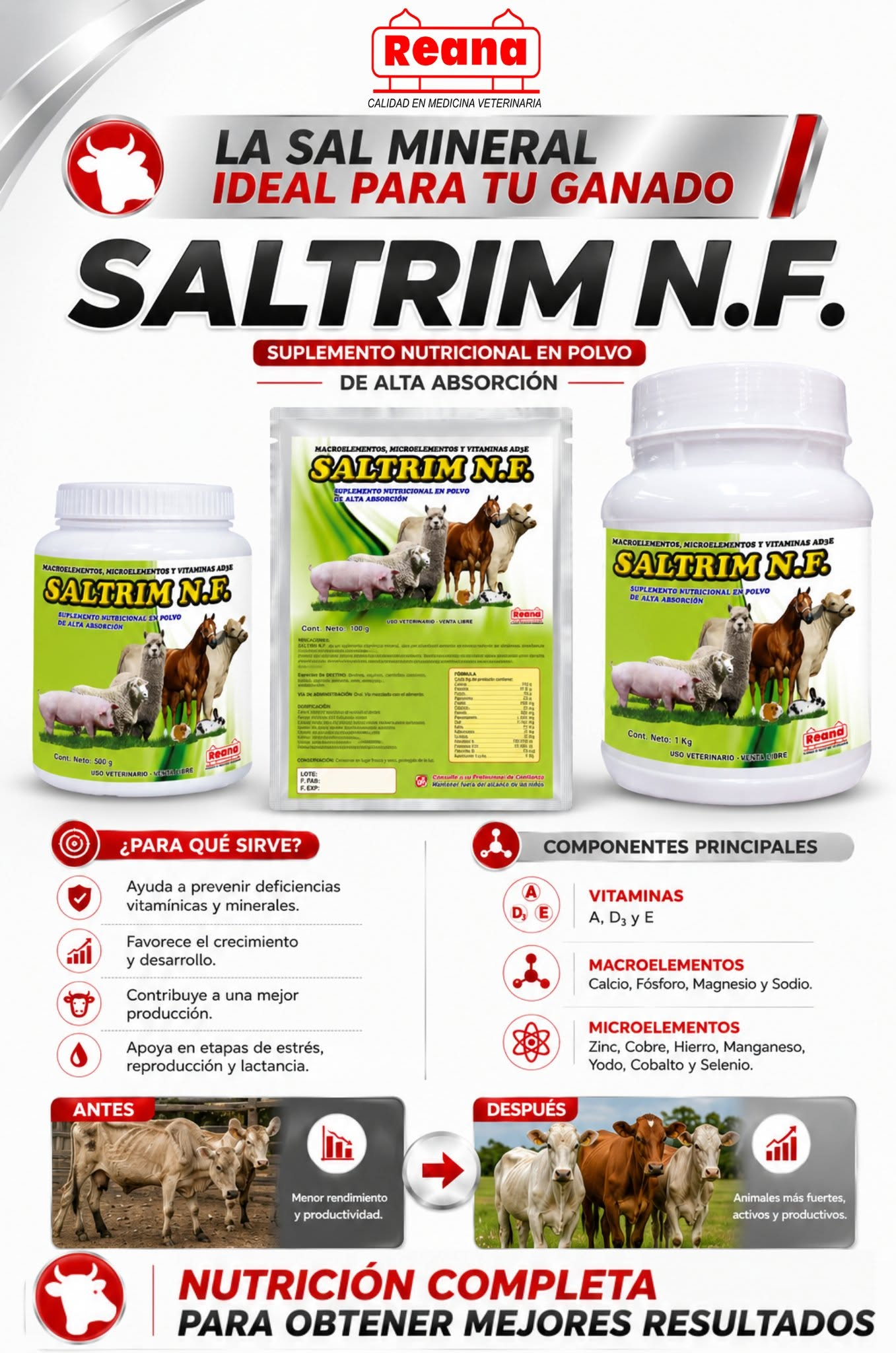 Banner de Saltrim N.F. proporcionado por REANA