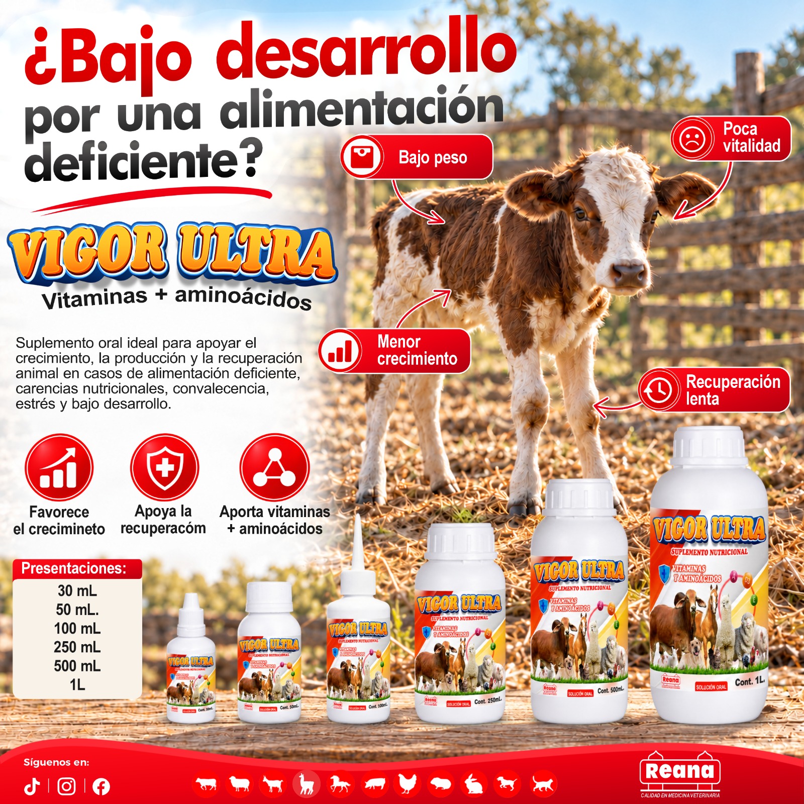 Banner de Vigor Ultra proporcionado por REANA